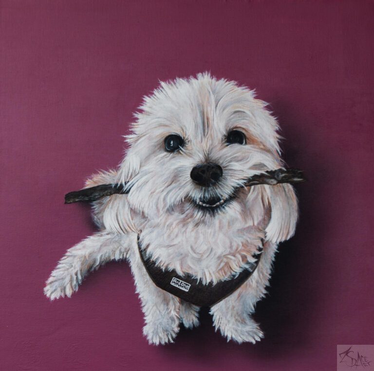 Samu kutyáról akrillal festett kép